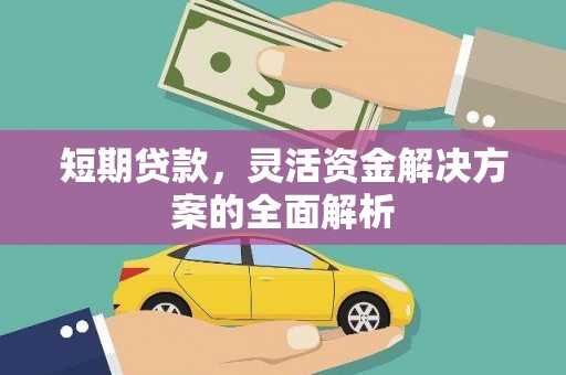 刚察短期贷款，灵活资金解决方案的全面解析