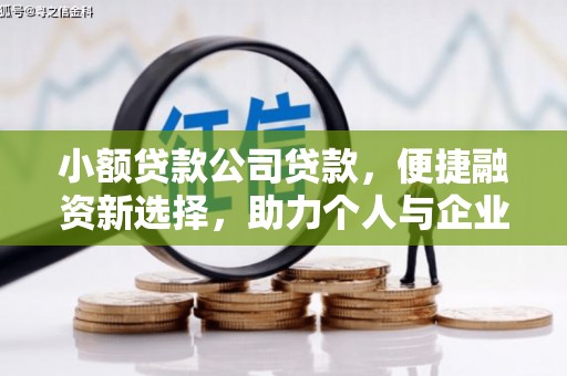 刚察小额贷款公司贷款，便捷融资新选择，助力个人与企业成长