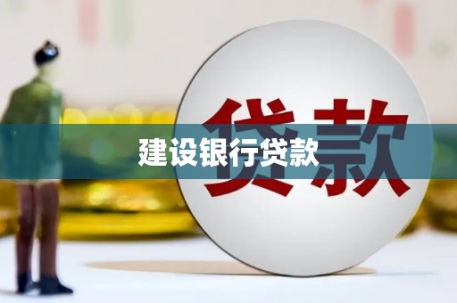 刚察建设银行贷款
