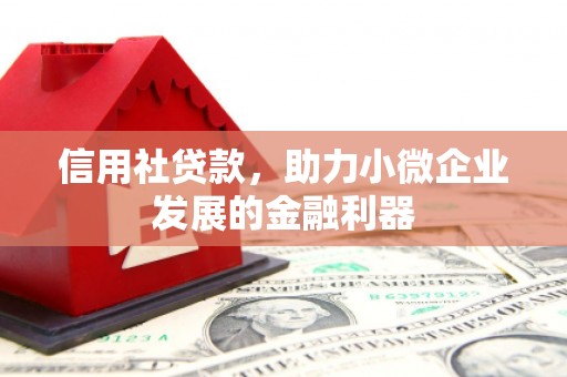 刚察信用社贷款，助力小微企业发展的金融利器