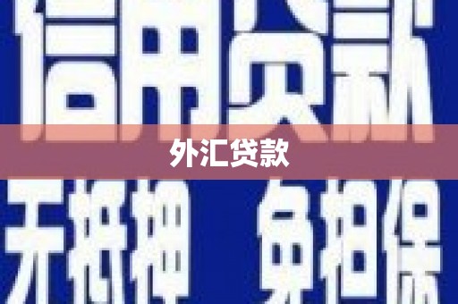 刚察外汇贷款