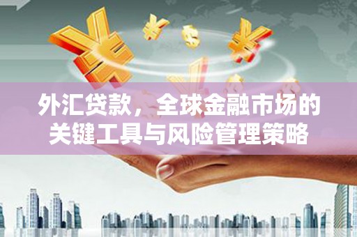 刚察外汇贷款，全球金融市场的关键工具与风险管理策略