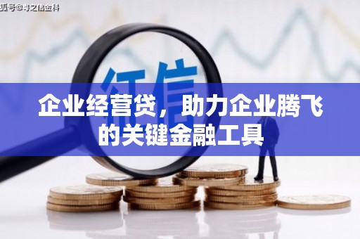 刚察企业经营贷，助力企业腾飞的关键金融工具