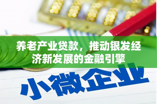 刚察养老产业贷款，推动银发经济新发展的金融引擎