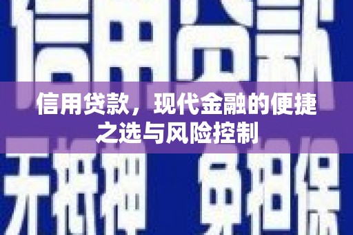 刚察信用贷款，现代金融的便捷之选与风险控制