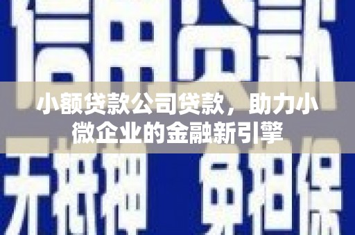 刚察小额贷款公司贷款，助力小微企业的金融新引擎