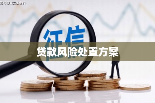 刚察贷款风险处置方案
