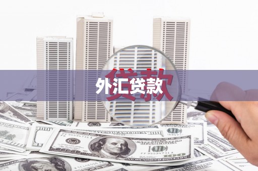 刚察外汇贷款