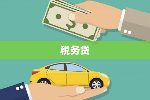 刚察税务贷