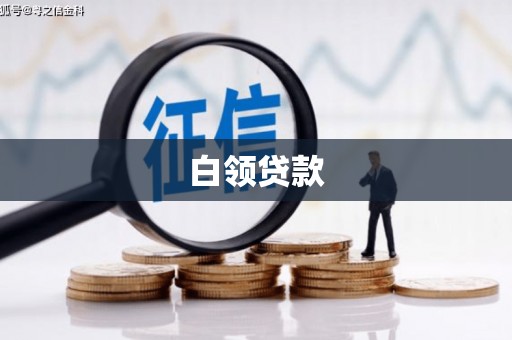 刚察白领贷款