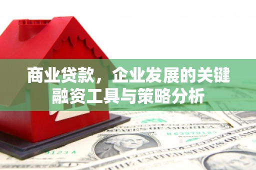 刚察商业贷款，企业发展的关键融资工具与策略分析