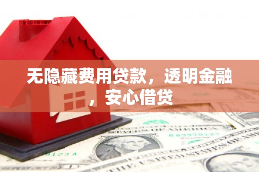 刚察无隐藏费用贷款，透明金融，安心借贷