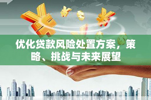 刚察优化贷款风险处置方案，策略、挑战与未来展望