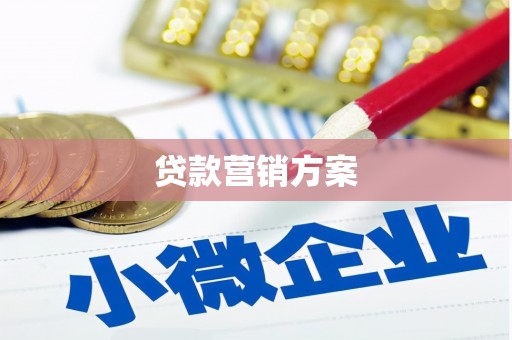 刚察贷款营销方案