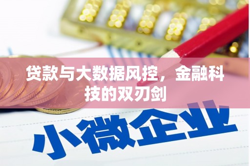 刚察贷款与大数据风控，金融科技的双刃剑