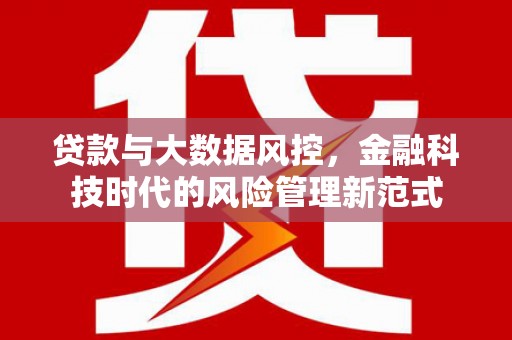 刚察贷款与大数据风控，金融科技时代的风险管理新范式