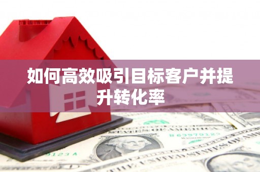 刚察如何高效吸引目标客户并提升转化率