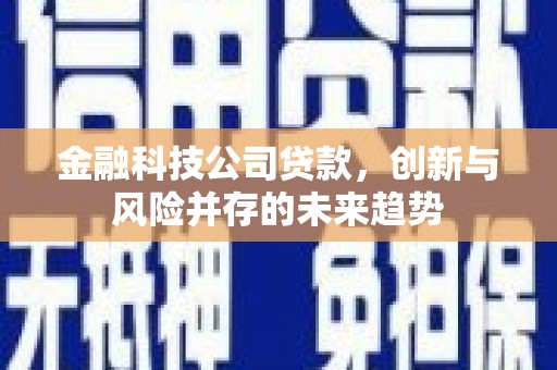 刚察金融科技公司贷款，创新与风险并存的未来趋势