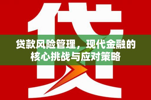 刚察贷款风险管理，现代金融的核心挑战与应对策略