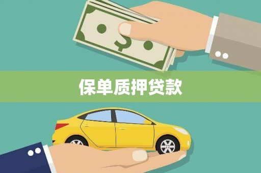 刚察保单质押贷款