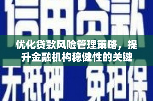 刚察优化贷款风险管理策略，提升金融机构稳健性的关键