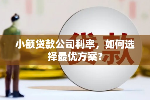 刚察小额贷款公司利率，如何选择最优方案？