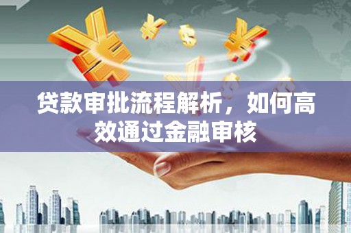 刚察贷款审批流程解析，如何高效通过金融审核