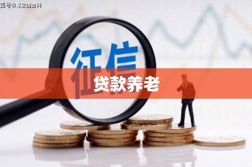 刚察贷款养老