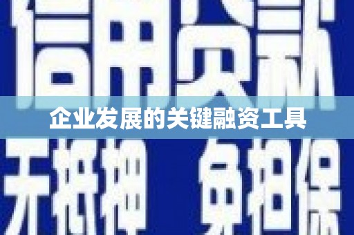 刚察企业发展的关键融资工具