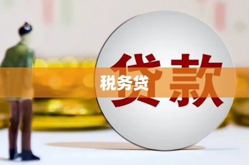 刚察税务贷