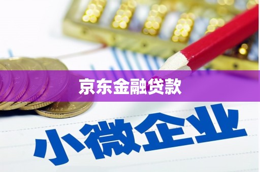 刚察京东金融贷款