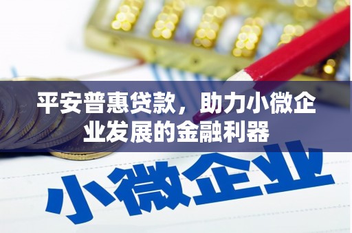 刚察平安普惠贷款，助力小微企业发展的金融利器