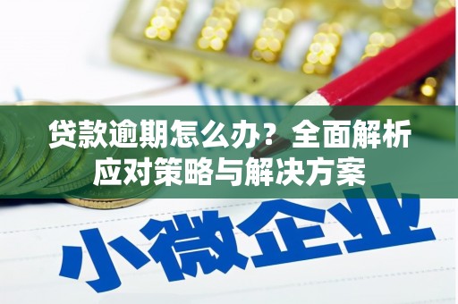 刚察贷款逾期怎么办？全面解析应对策略与解决方案