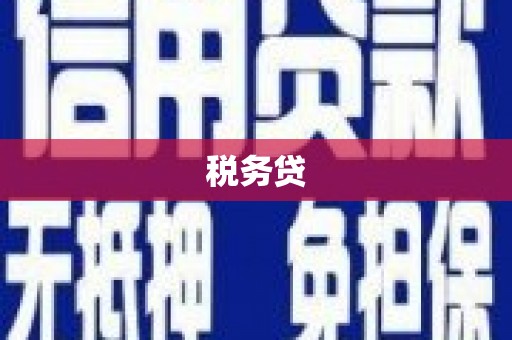 刚察税务贷