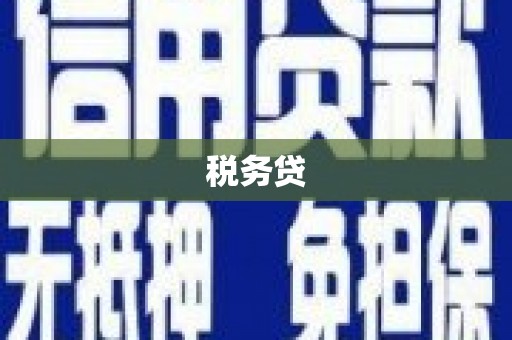 刚察税务贷
