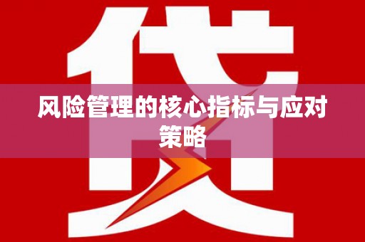 刚察风险管理的核心指标与应对策略