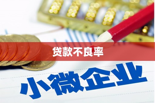 刚察贷款不良率