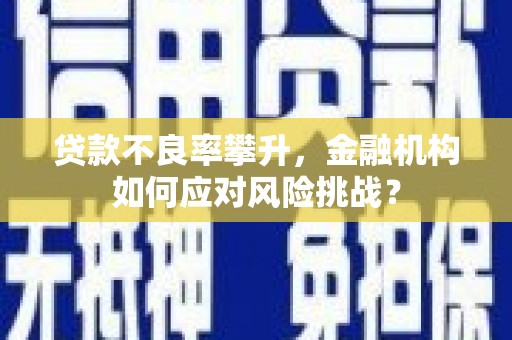 刚察贷款不良率攀升，金融机构如何应对风险挑战？