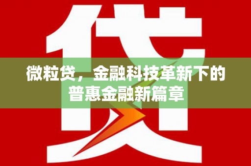 刚察微粒贷，金融科技革新下的普惠金融新篇章