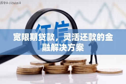 刚察宽限期贷款，灵活还款的金融解决方案
