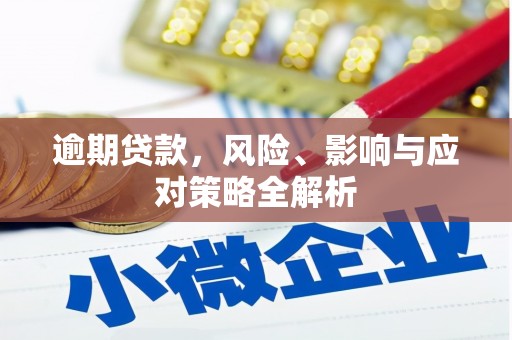 刚察逾期贷款，风险、影响与应对策略全解析
