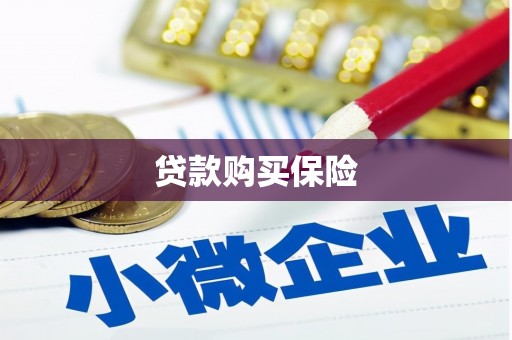刚察贷款购买保险