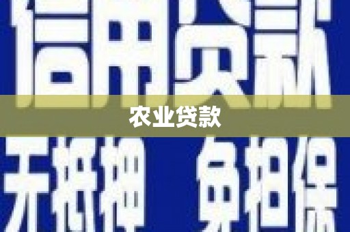 刚察农业贷款