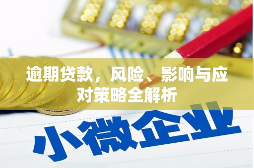 刚察逾期贷款，风险、影响与应对策略全解析