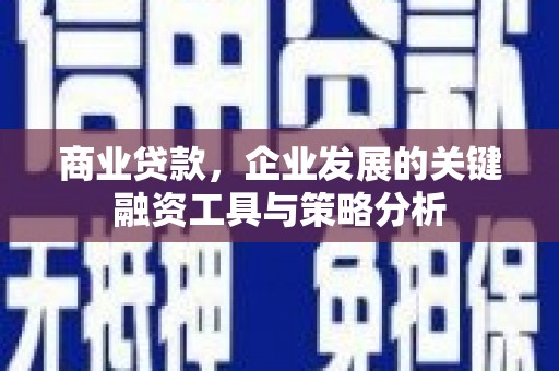 刚察商业贷款，企业发展的关键融资工具与策略分析