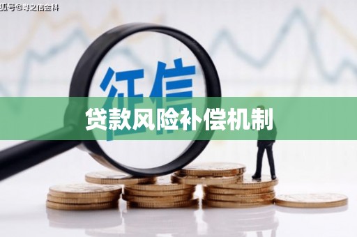 刚察贷款风险补偿机制