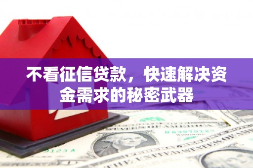 刚察不看征信贷款，快速解决资金需求的秘密武器