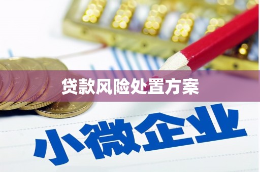 刚察贷款风险处置方案