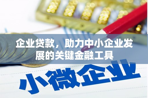 刚察企业贷款，助力中小企业发展的关键金融工具