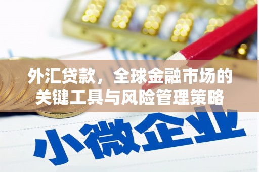 刚察外汇贷款，全球金融市场的关键工具与风险管理策略